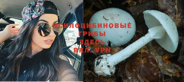 Альфа ПВП Козельск