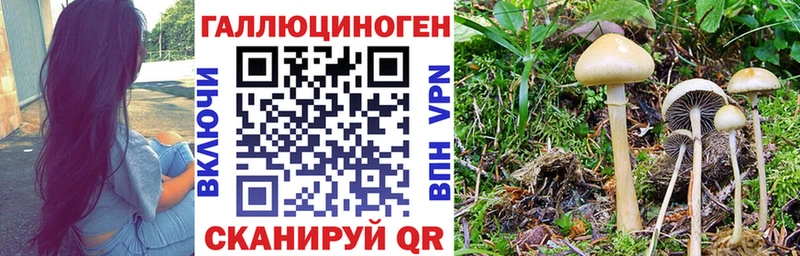 Псилоцибиновые грибы Psilocybe  кракен ТОР  Троицк  закладки 