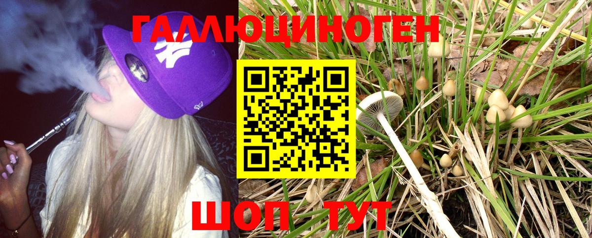 Галлюциногенные грибы Magic Shrooms  Вход с VPN  Троицк 